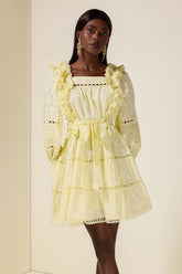 Solid Embroidered Ruffle Mini Dress
