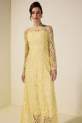 Lace Tie-Up Long Sleeve Midi Dress