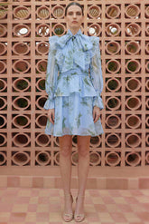 Bird Print Ruffle Lace-Up Mini Dress