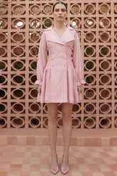 Solid Smocking Long Sleeve Mini Dress