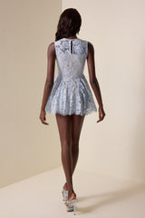 Lace Sleeveless Round Neck Mini Dress