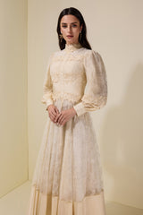 Embroidered Lace Long Sleeve Midi Dress