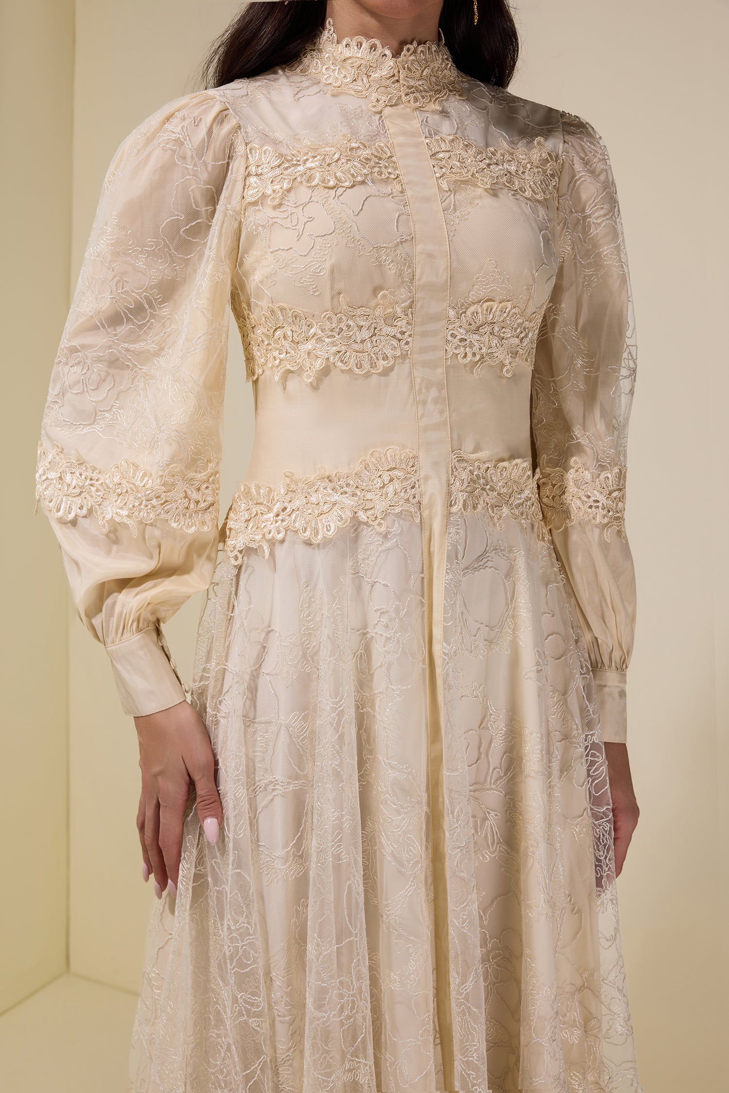 Embroidered Lace Long Sleeve Midi Dress
