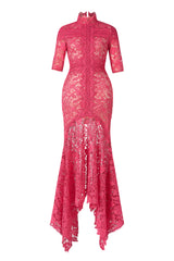 Lace Stand Collar Mid Sleeve Midi Dress