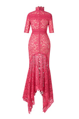 Lace Stand Collar Mid Sleeve Midi Dress