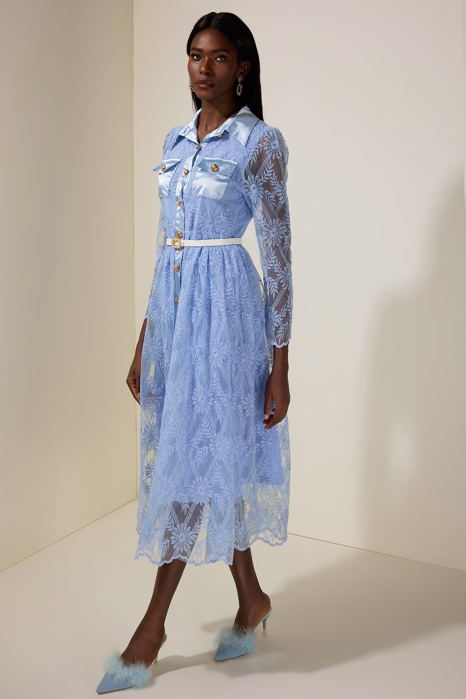 Organza Embroidered Metal Button Midi Dress With Belt