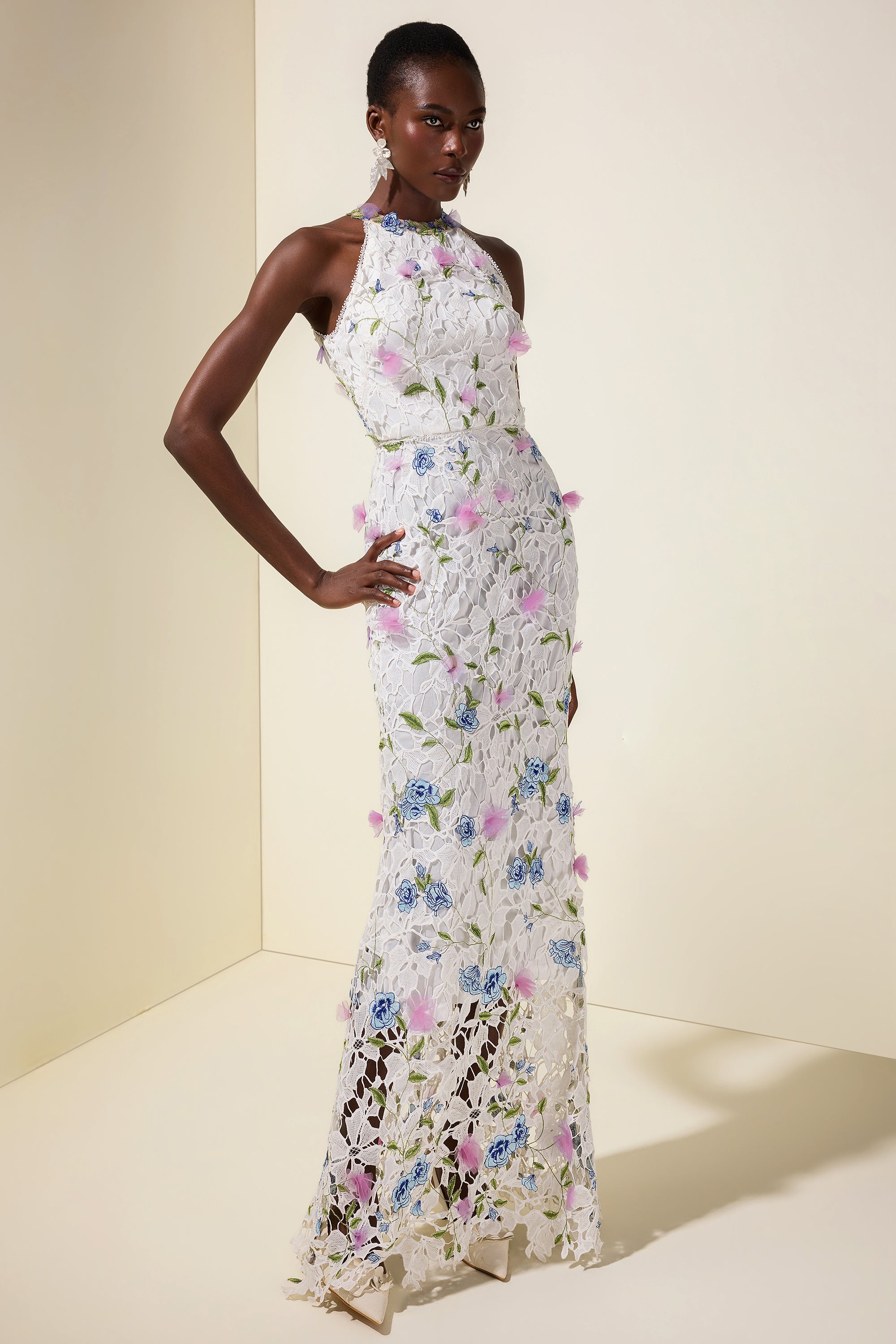 Lace Embroidered Sleeveless Maxi Dress