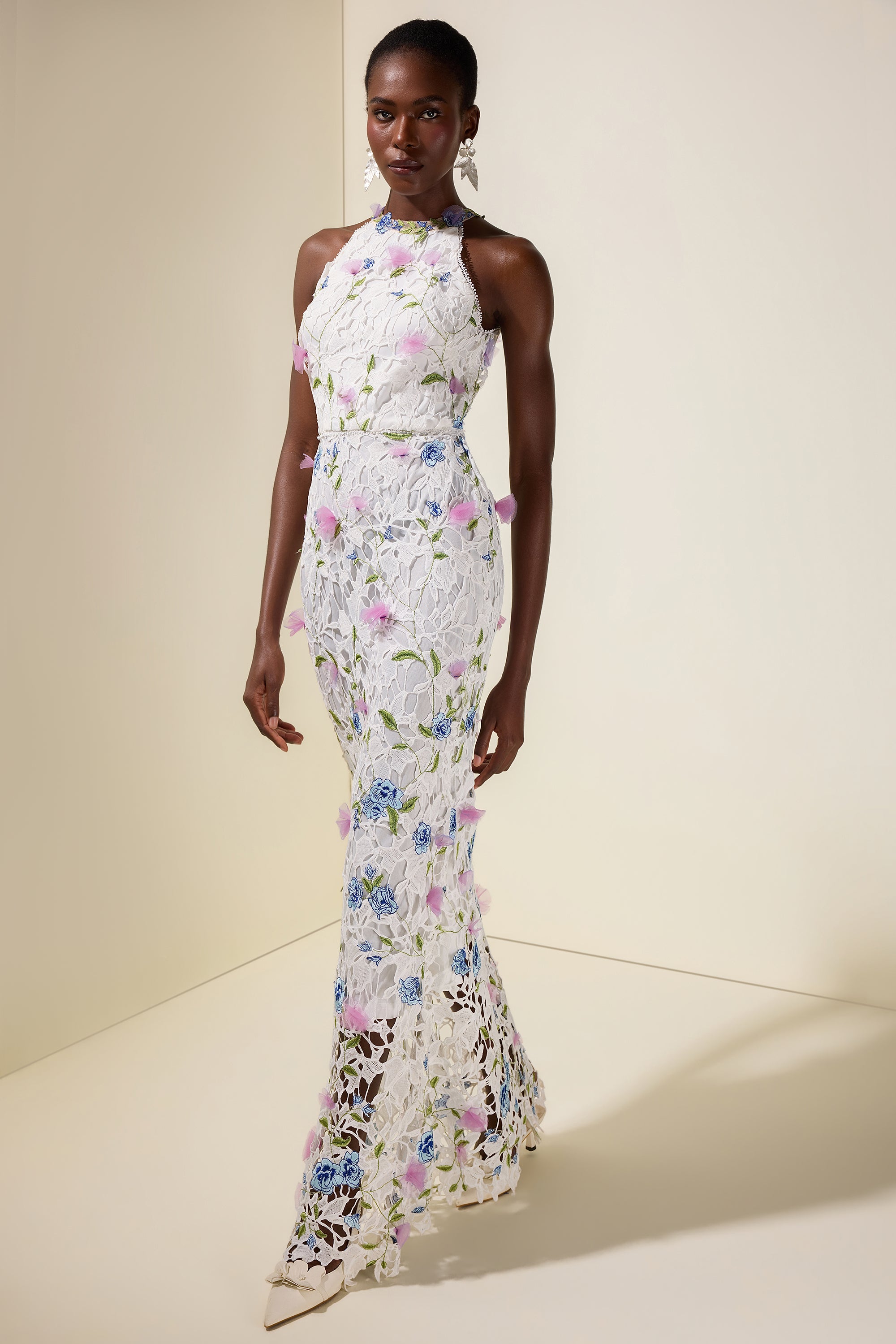 Lace Embroidered Sleeveless Maxi Dress