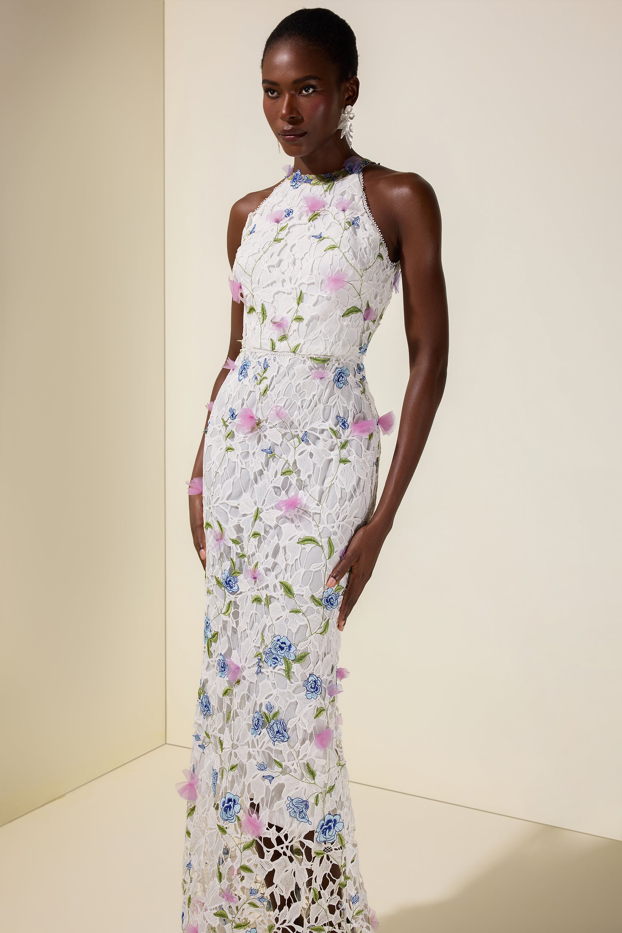 Lace Embroidered Sleeveless Maxi Dress