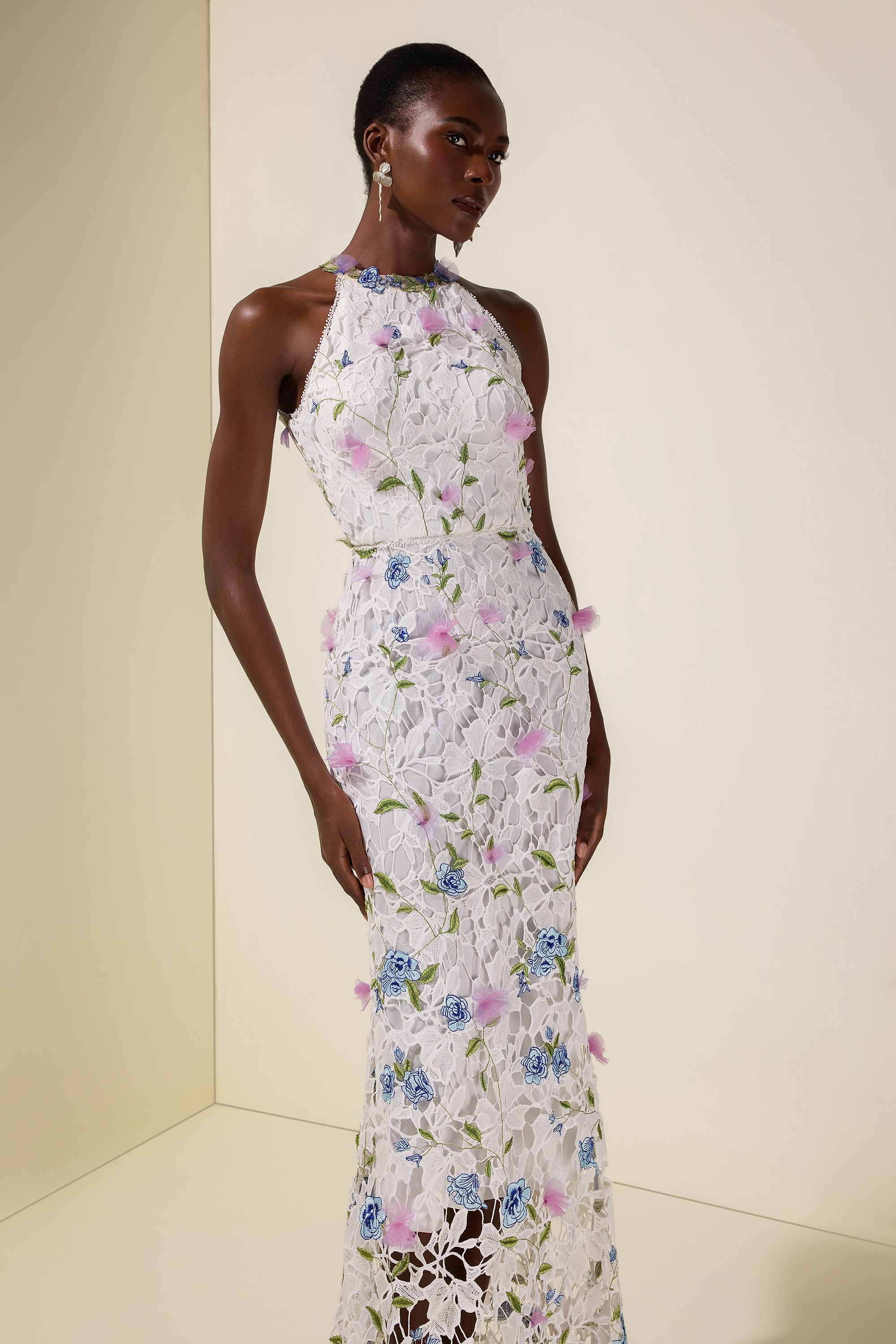 Lace Embroidered Sleeveless Maxi Dress
