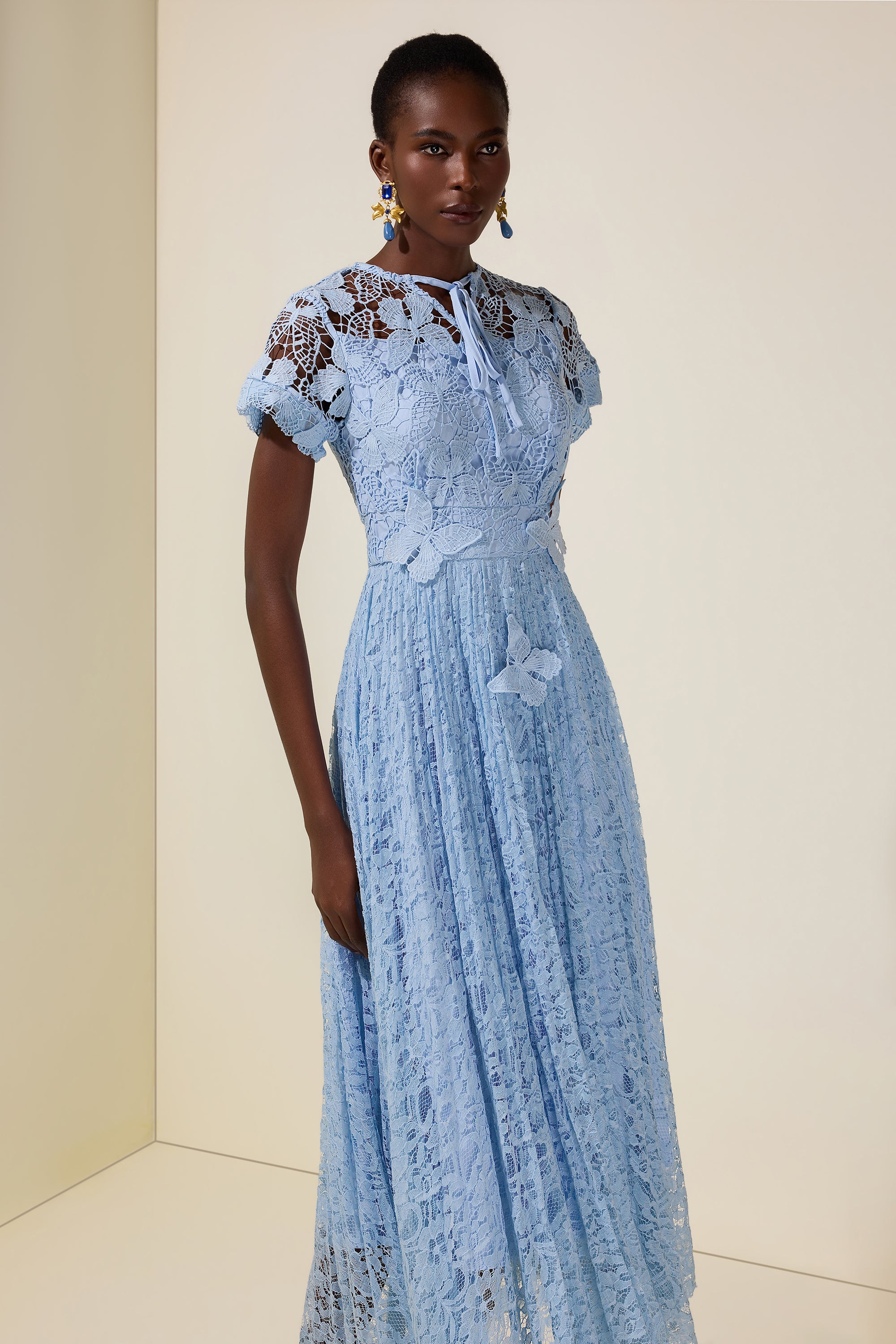 Lace Butterfly  Pleated Midi Dress