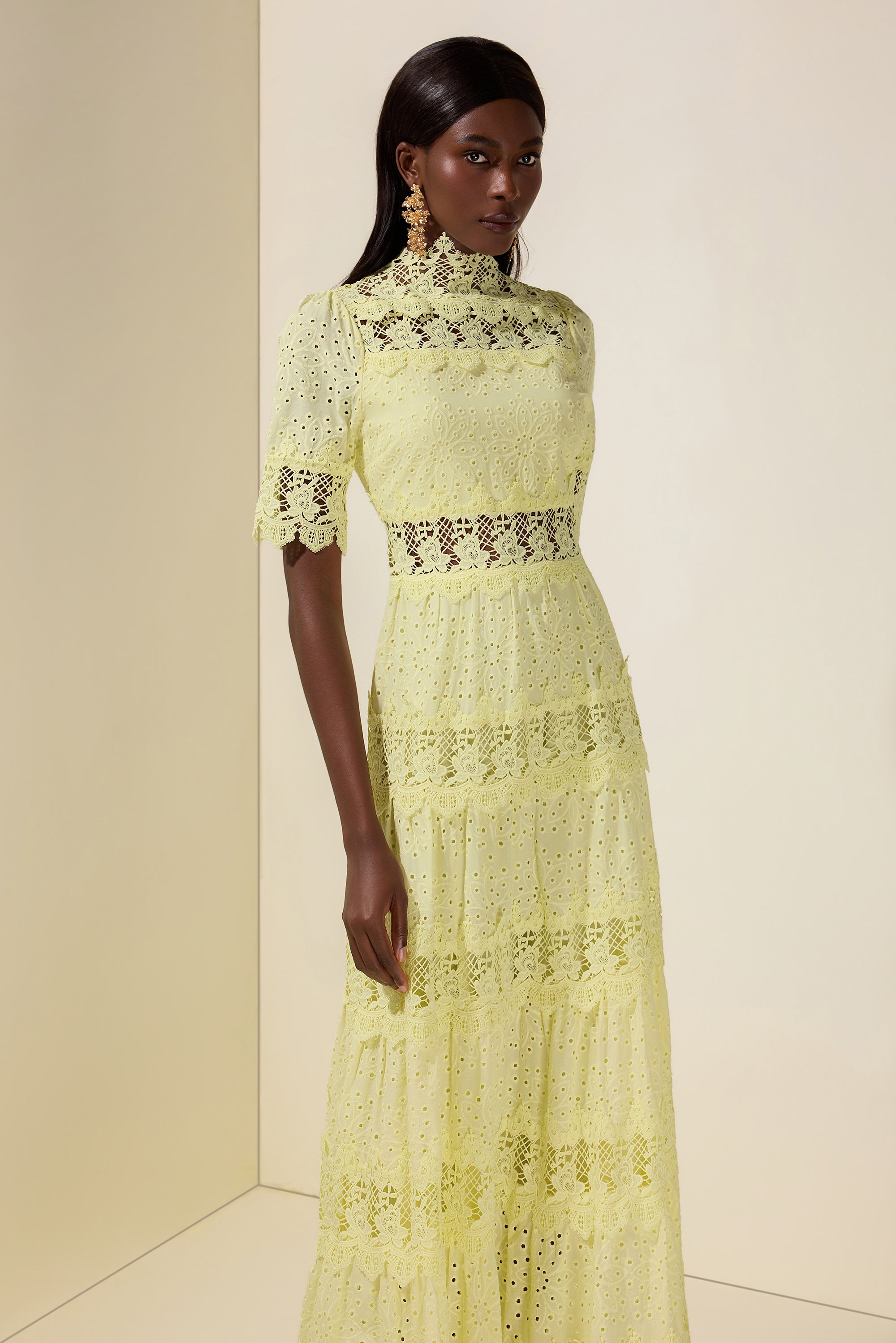 Lace Embroidered Stand Collar Midi Dress