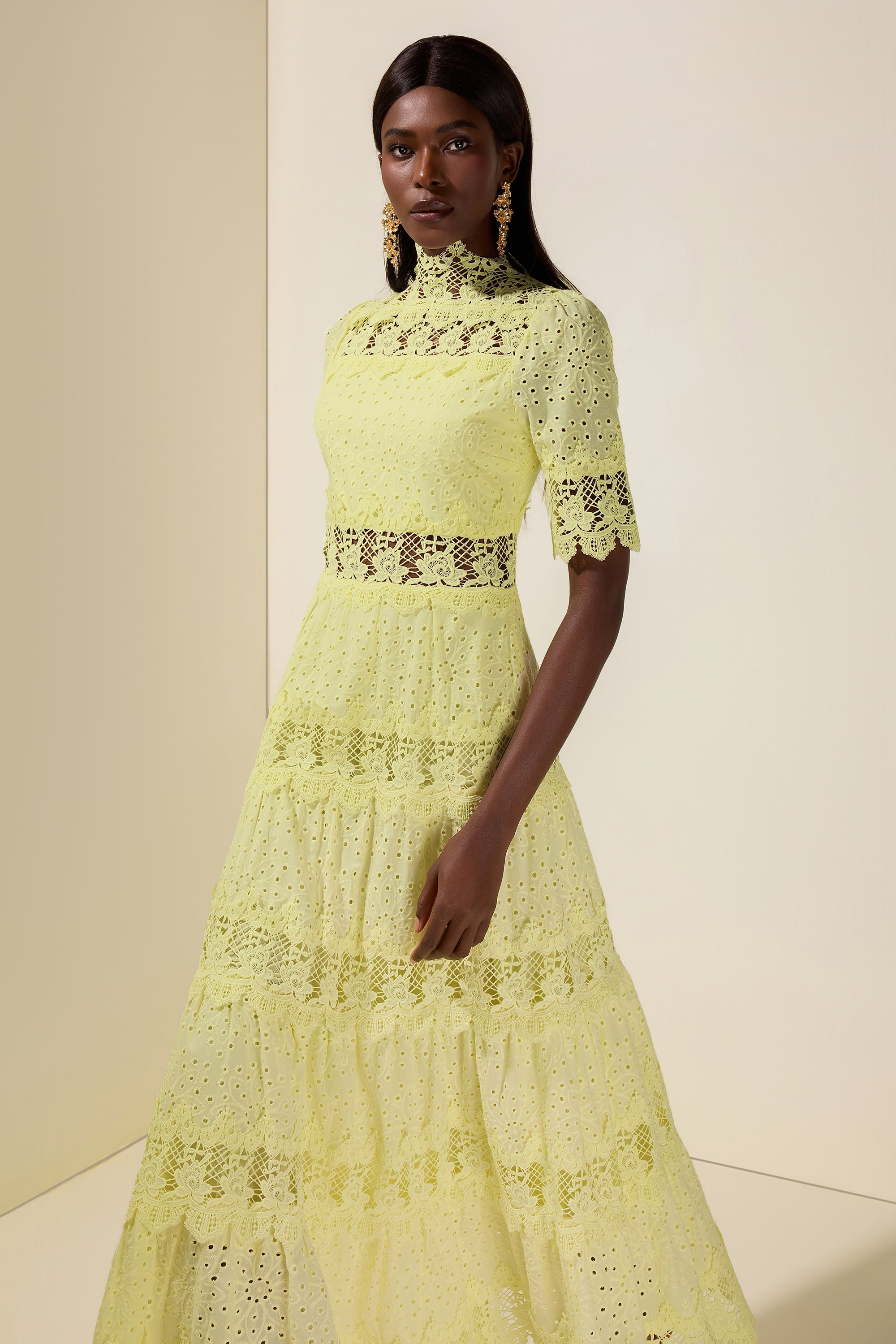 Lace Embroidered Stand Collar Midi Dress