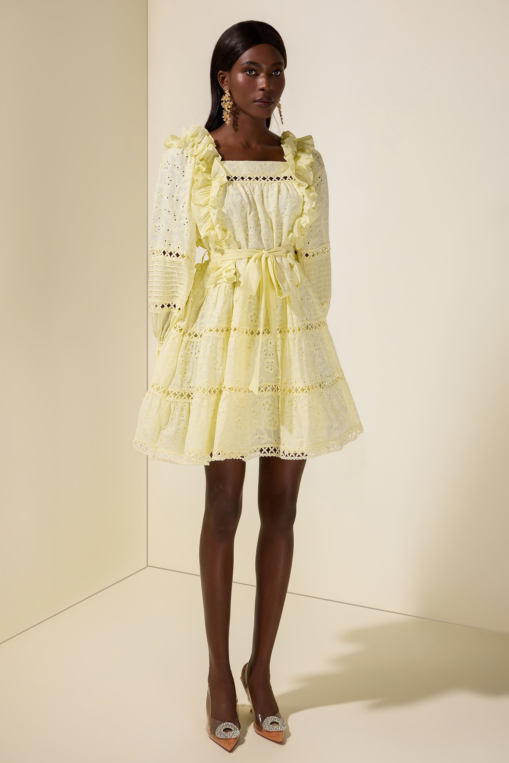 Solid Embroidered Ruffle Mini Dress