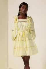 Solid Embroidered Ruffle Mini Dress