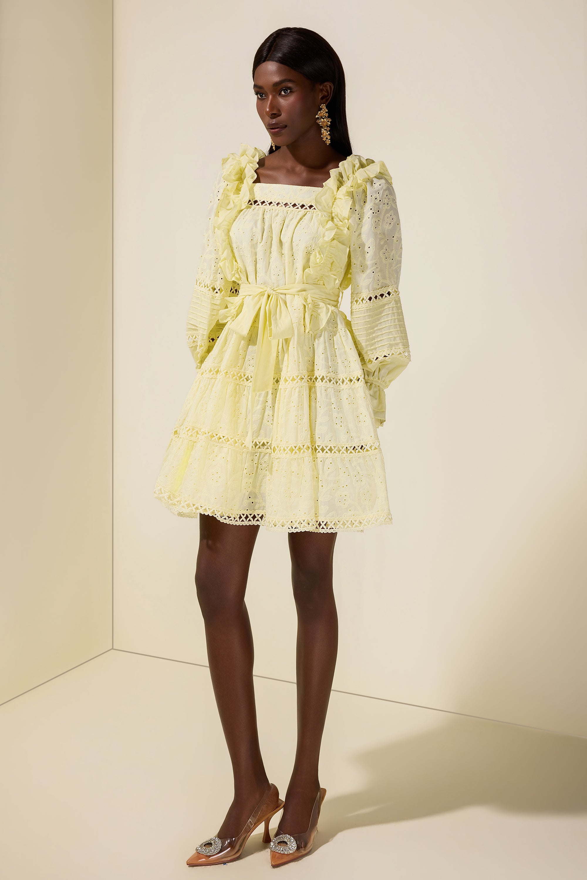 Solid Embroidered Ruffle Mini Dress