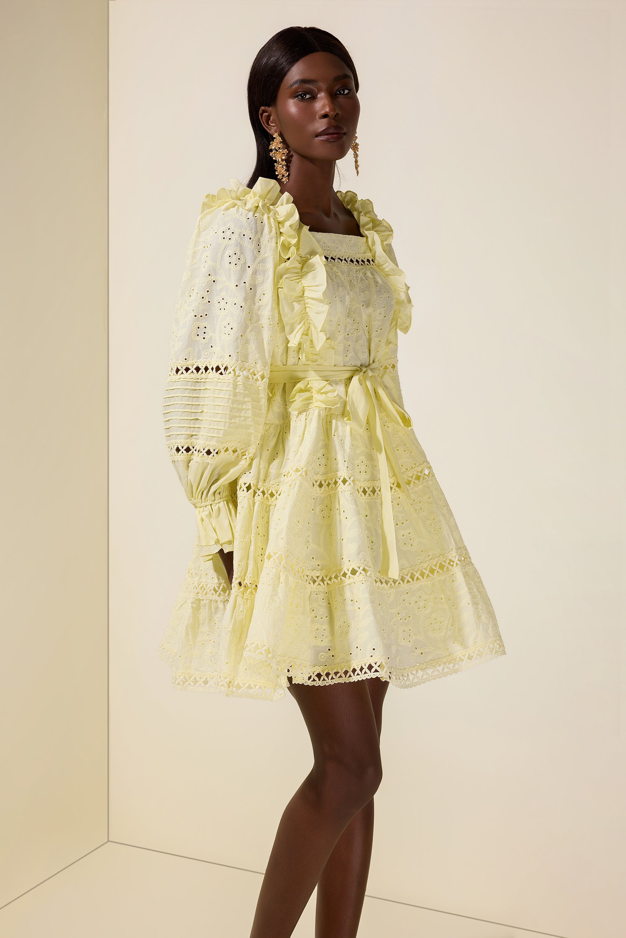Solid Embroidered Ruffle Mini Dress