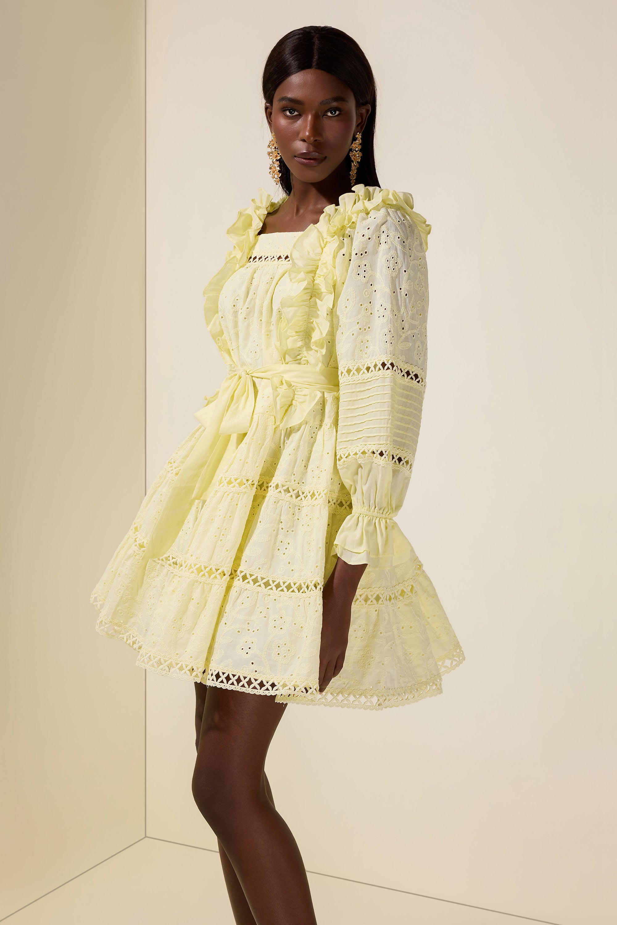 Solid Embroidered Ruffle Mini Dress
