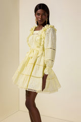 Solid Embroidered Ruffle Mini Dress