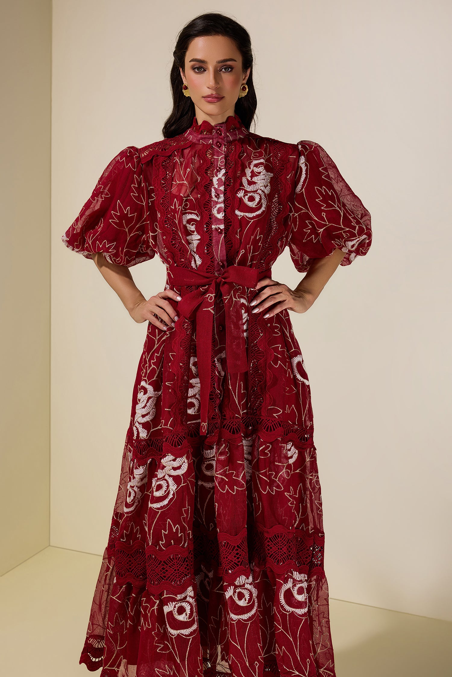 Lace Embroidered Puff Sleeve Midi Dress