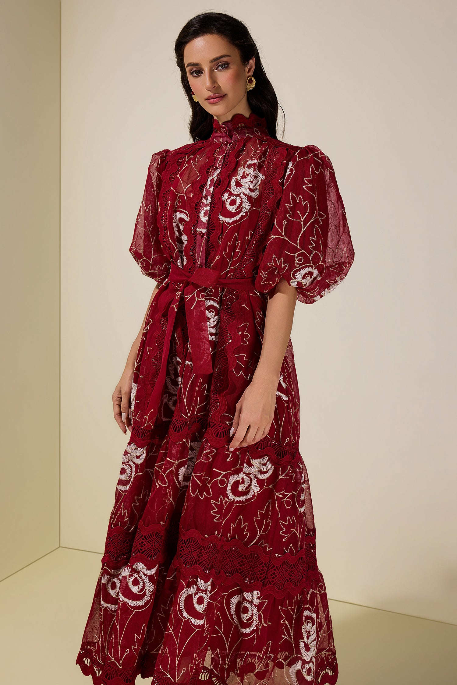 Lace Embroidered Puff Sleeve Midi Dress