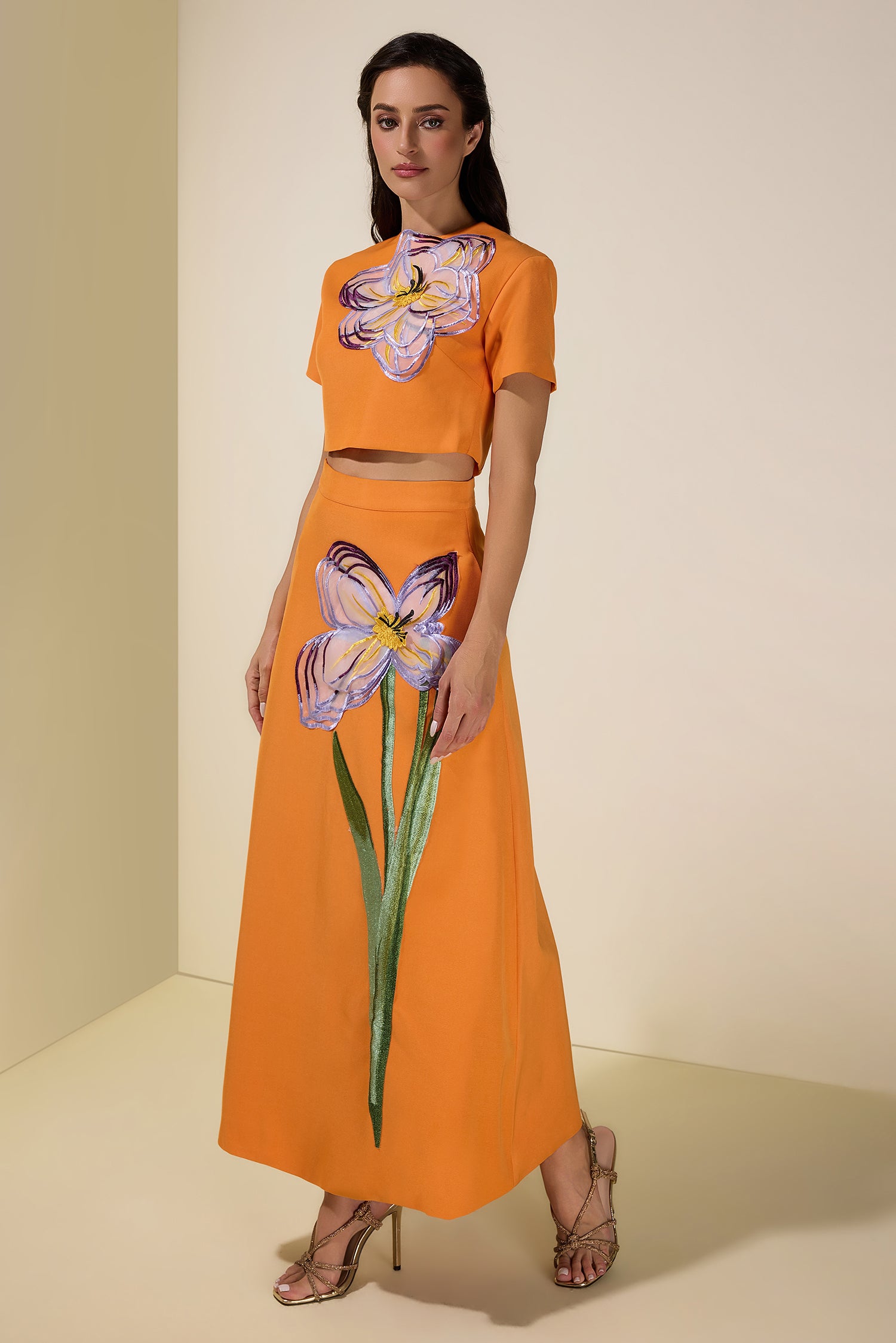 Appliquéd Round Neck Top & Maxi Skirt Set