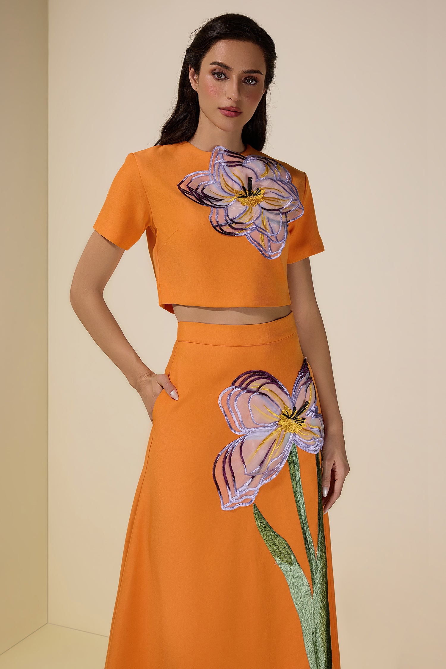 Appliquéd Round Neck Top & Maxi Skirt Set