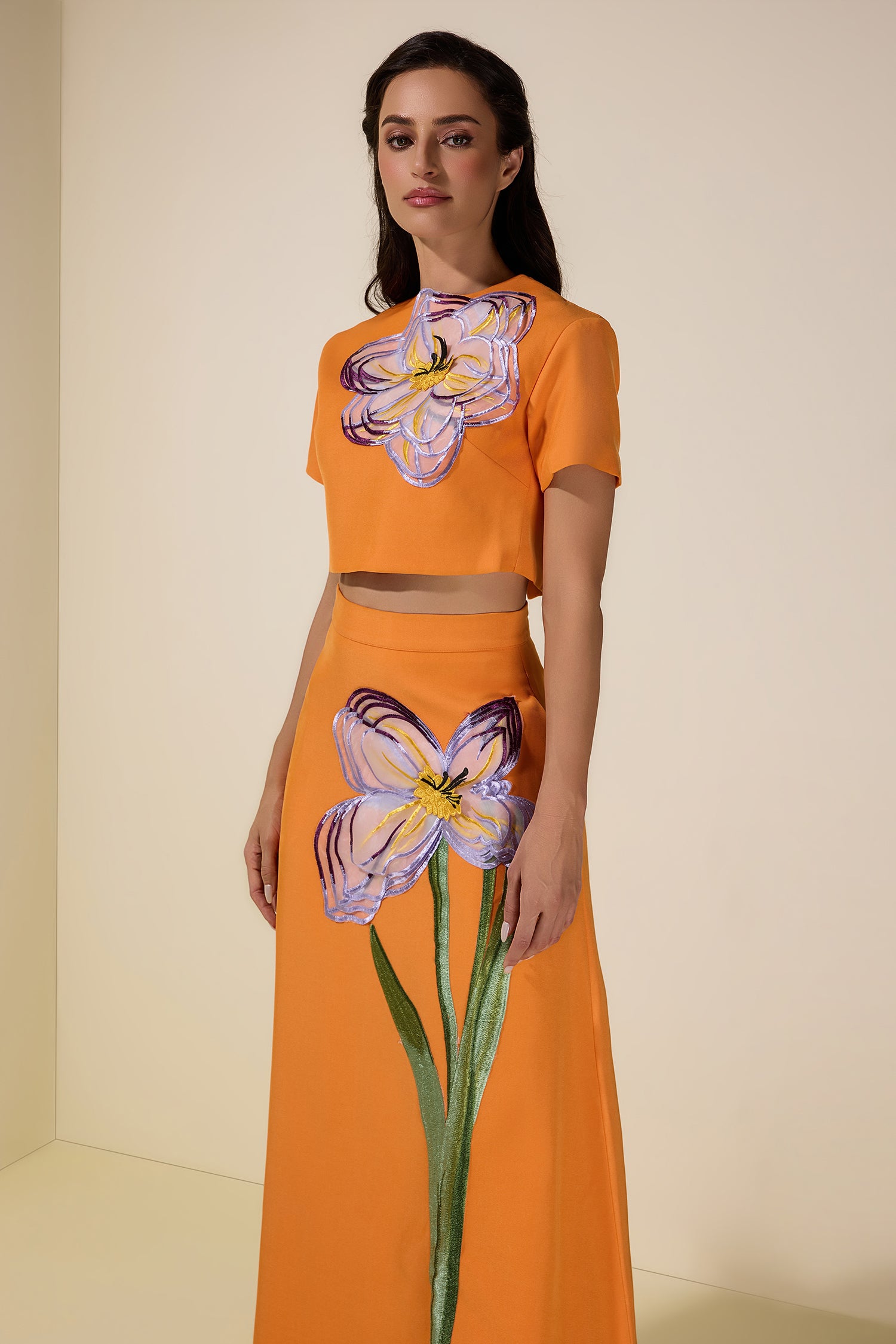 Appliquéd Round Neck Top & Maxi Skirt Set