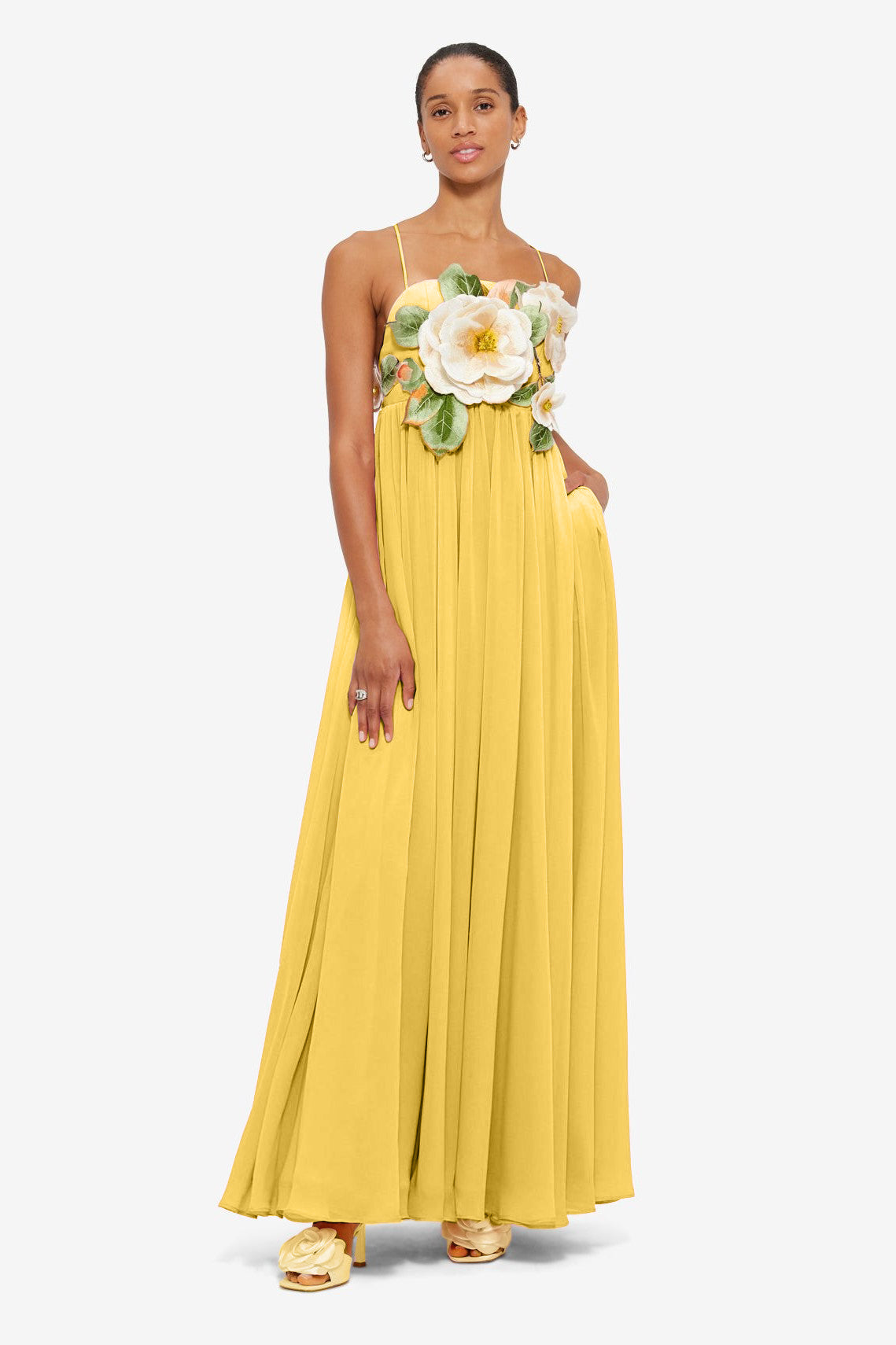 Embroidered Chiffon Slip Maxi Dress