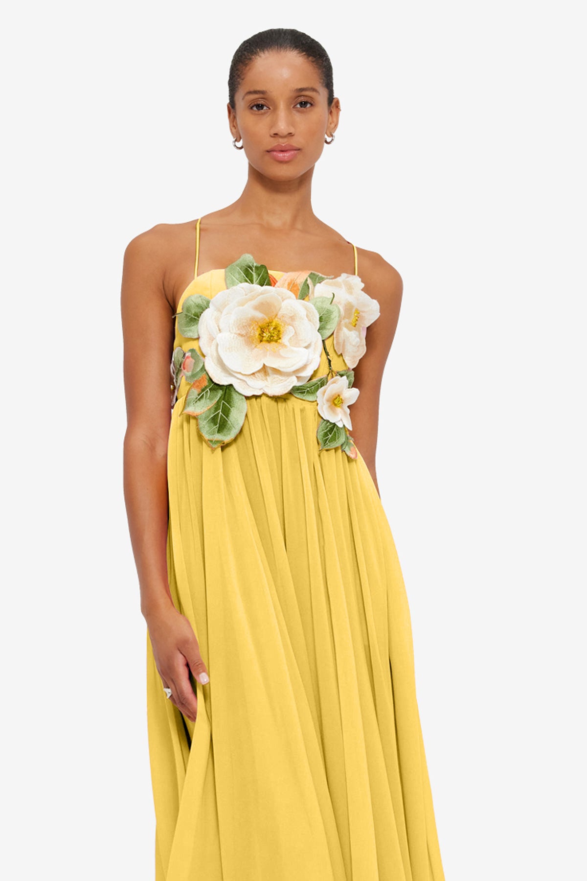 Embroidered Chiffon Slip Maxi Dress