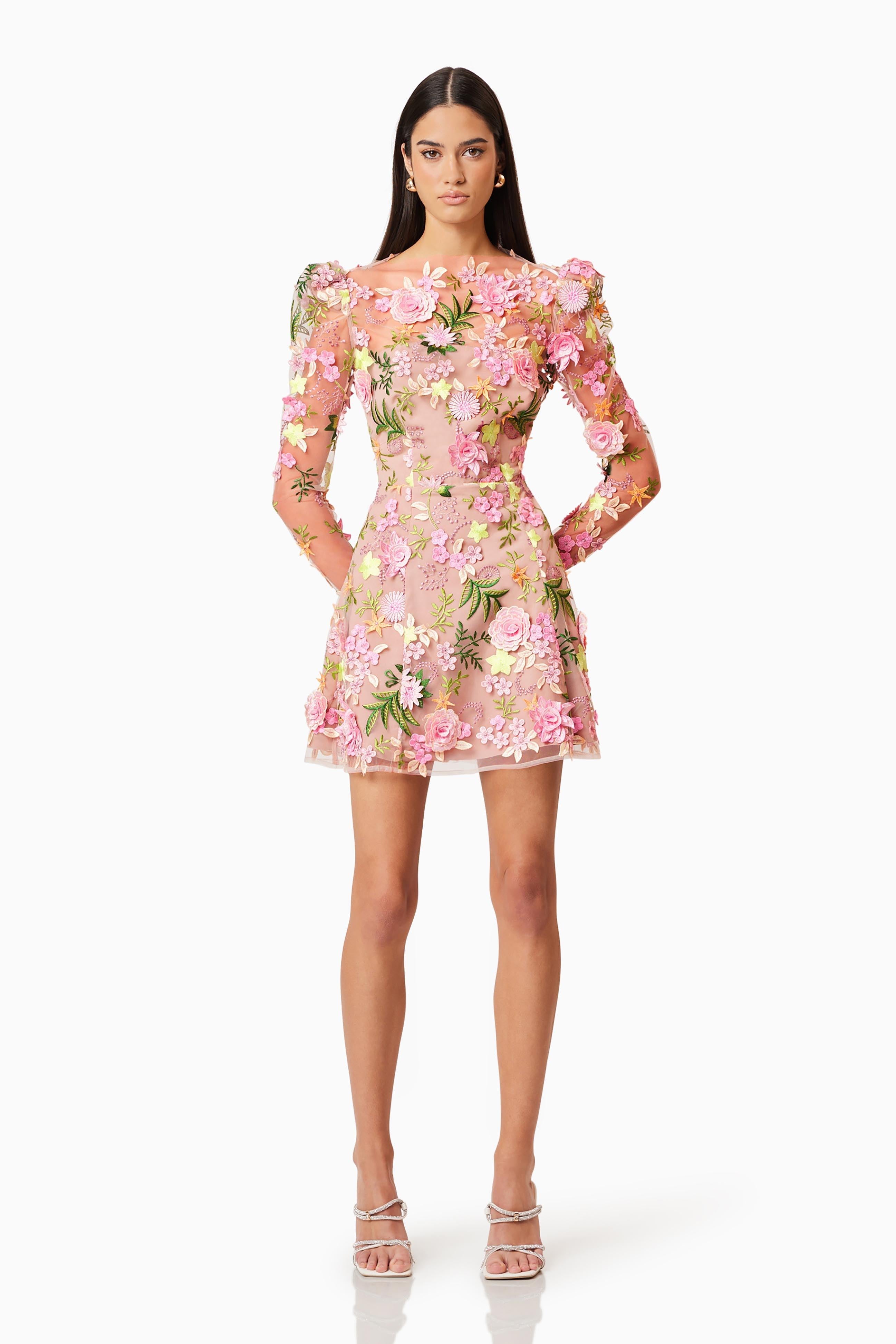 Embroidered Round Neck Long Sleeve Mini Dress