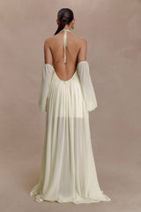 Chiffon Halter Neck Backless Maxi Dress