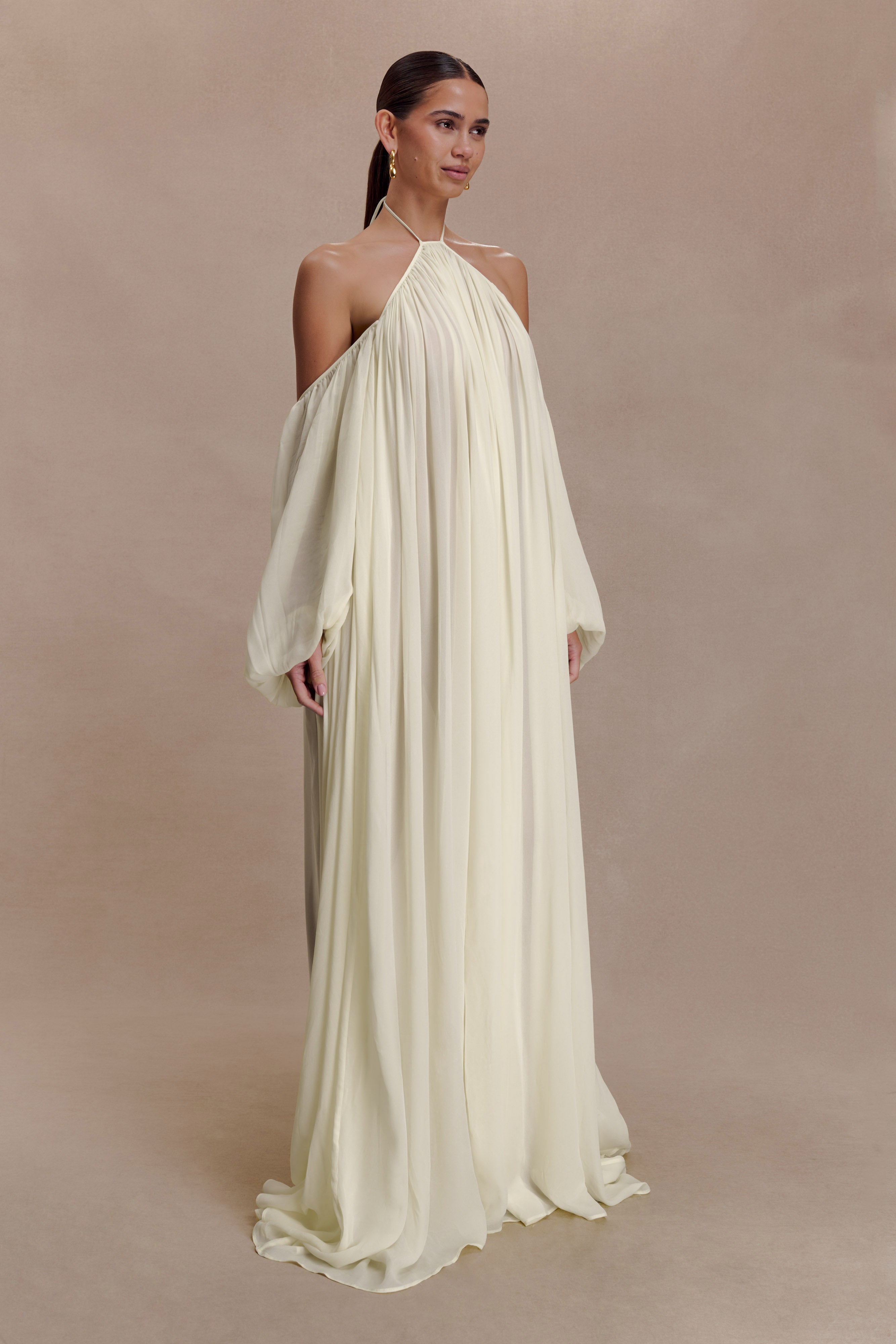 Chiffon Halter Neck Backless Maxi Dress