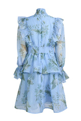Bird Print Ruffle Lace-Up Mini Dress