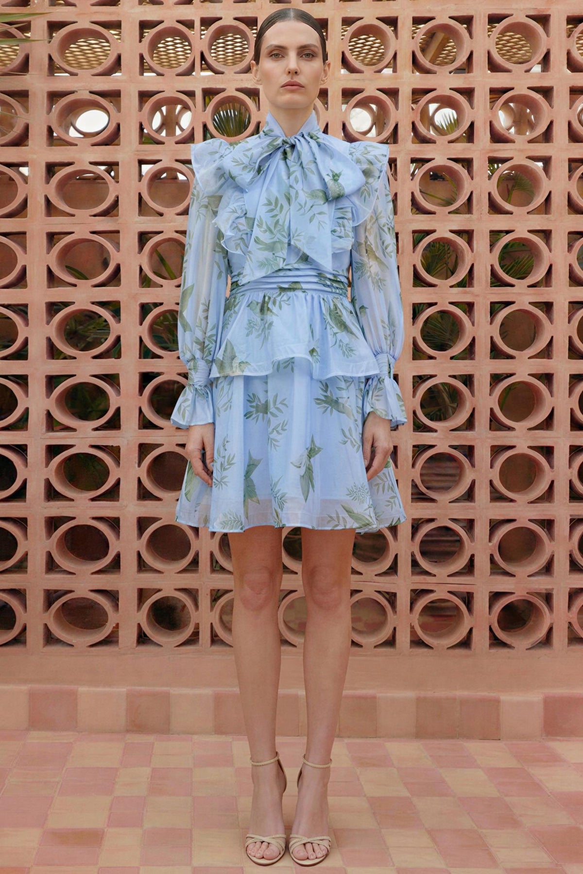 Bird Print Ruffle Lace-Up Mini Dress