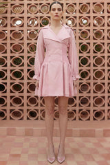 Solid Smocking Long Sleeve Mini Dress