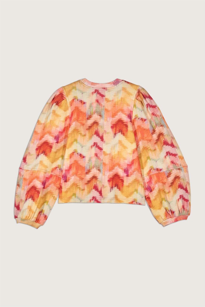 Iridescent Lantern Sleeve Crew Collar Long Sleeve Top